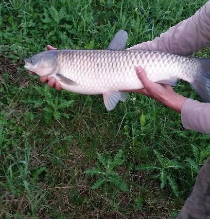 Mila Przystan Lodge Ksiaznik